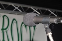 IMG_1934